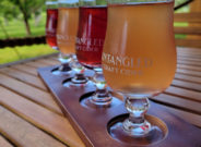 cidery tour