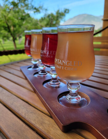 Untangled Craft Cider