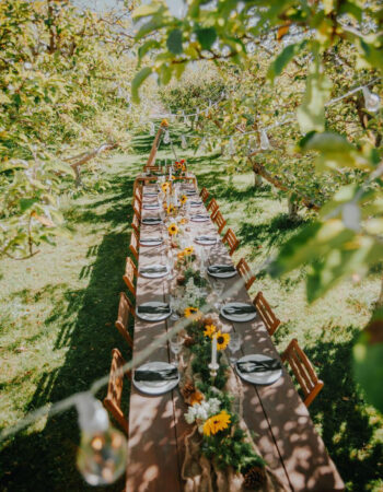 Untangled Craft Cider