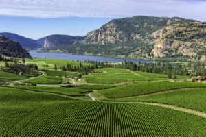okanagan falls wineries