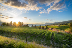 okanagan wineries