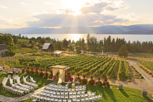 winery wedding