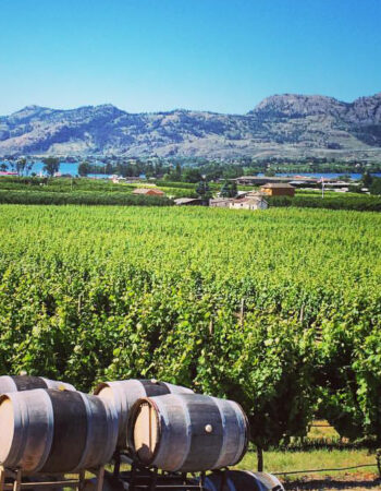 Adega on 45th Estate Winery