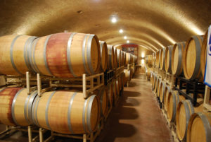 wine cellar tours