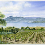 Naramata Bench Vineyard