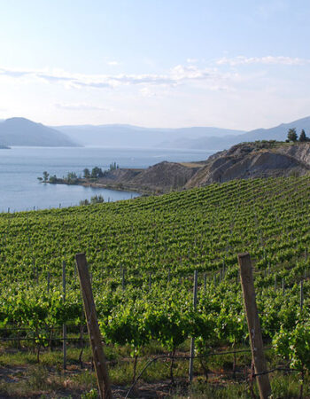 The Official British Columbia Wine Tour Handbook