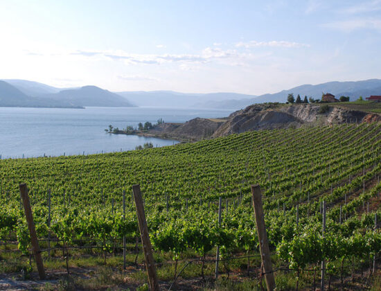 The Official British Columbia Wine Tour Handbook