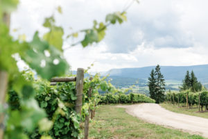 Shuswap wineries