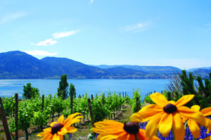 okanagan valley wineries