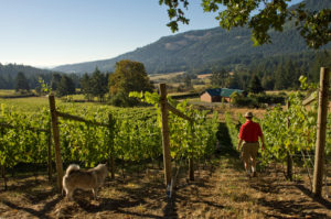 Gulf Islands wineries