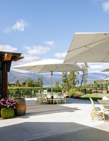 Peak Cellars