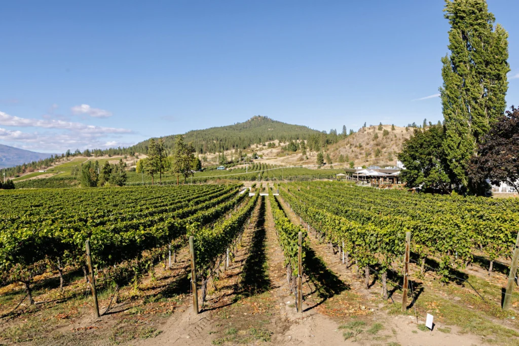 Jon Adrian. Architectural, winery and lifestyle photographer. Kelowna Photographer / Peak Cellars