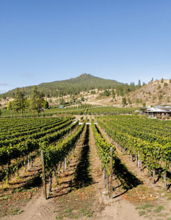Peak Cellars