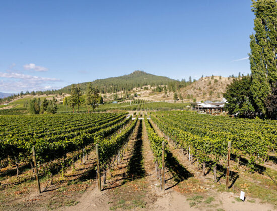 Peak Cellars