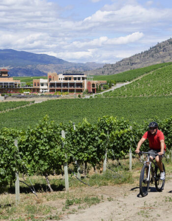 Burrowing Owl Estate Winery