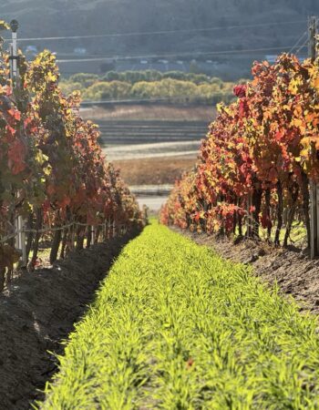 Phantom Creek Estates Winery