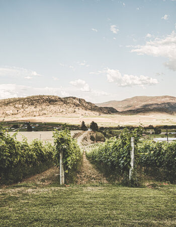 Road 13 Vineyards