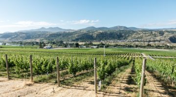 Harper’s Trail Winery