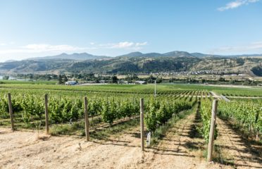 Harper’s Trail Winery