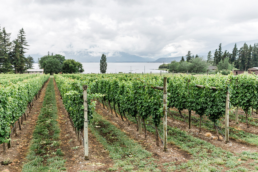 Sunnybrae Vineyards and Winery