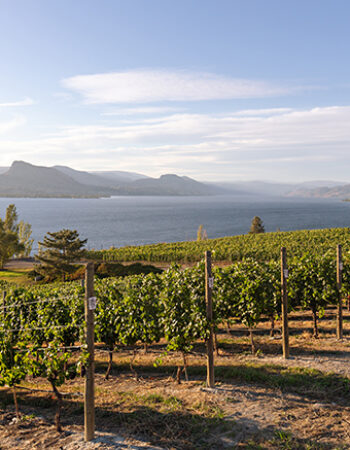 Bench 1775 Winery