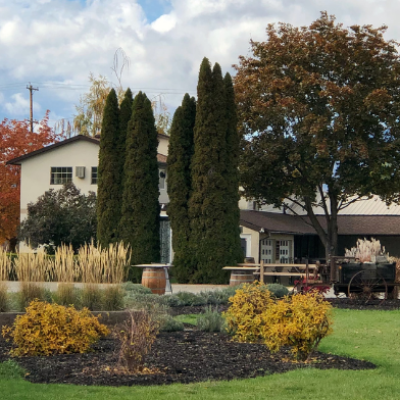 Sperling Vineyards, Lakeshore Wine Route