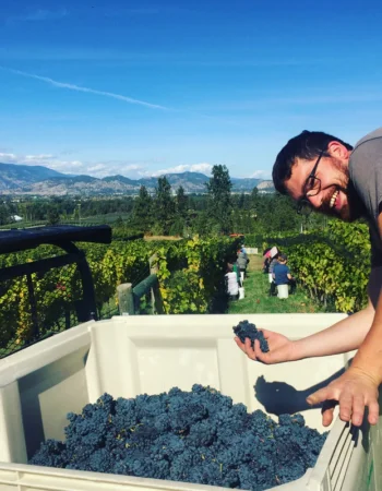 Tantalus Vineyards
