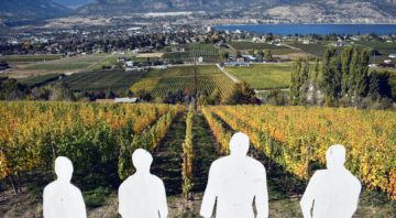 Four Shadows Vineyard and Winery