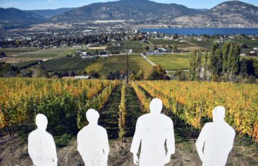Four Shadows Vineyard and Winery