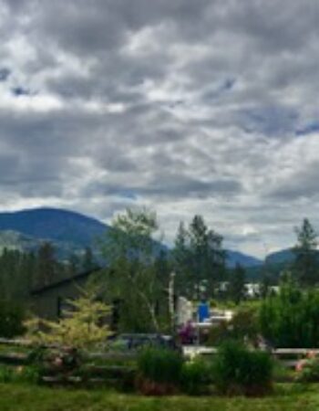 BC Wine Studio