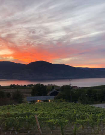 Chain Reaction Winery