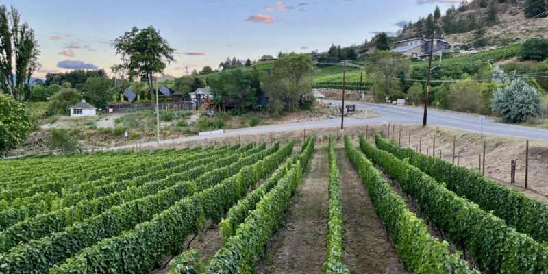 Wesbert Winery