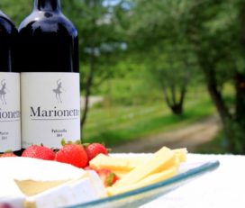 Marionette Winery