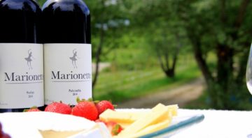 Marionette Winery