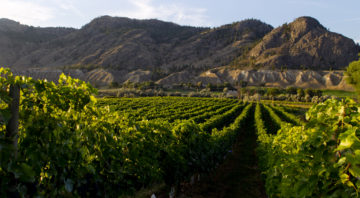 Tourism Kamloops