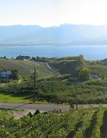 Laughing Stock Vineyards