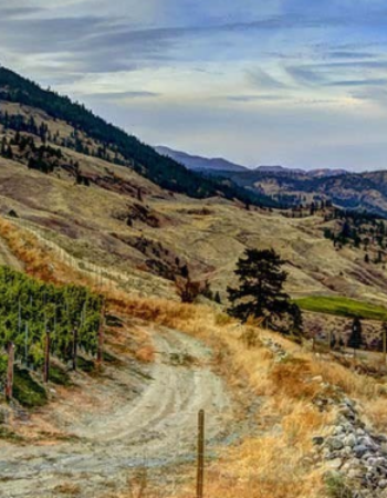 Culmina Family Estate Winery