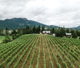 Recline Ridge Vineyards & Winery