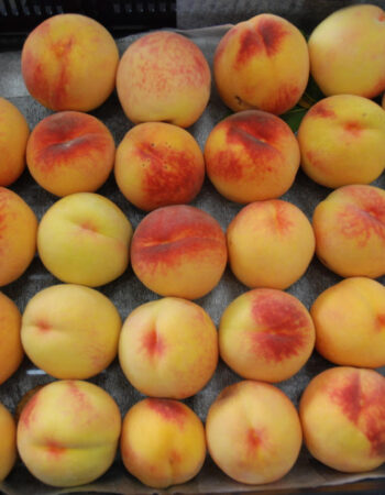 Untangled Craft Cider