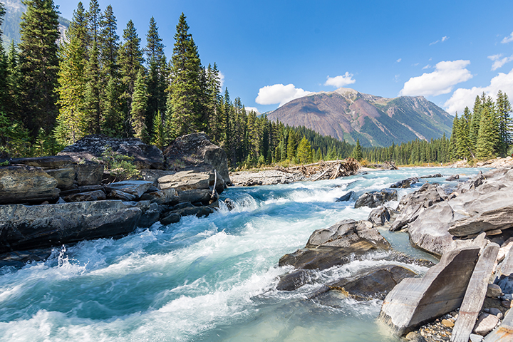 kootenays