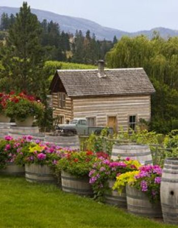 Summerhill Pyramid Winery, Lakeshore Wine Route