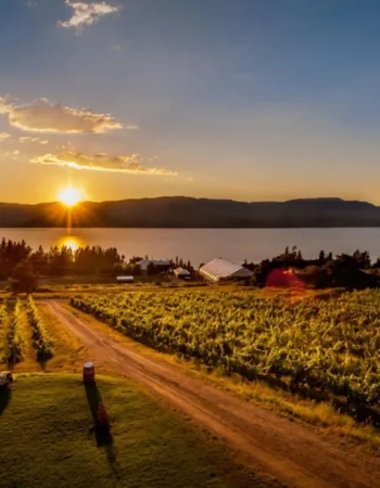 Summerhill Pyramid Winery, Lakeshore Wine Route