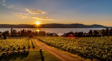 Summerhill Pyramid Winery, Lakeshore Wine Route