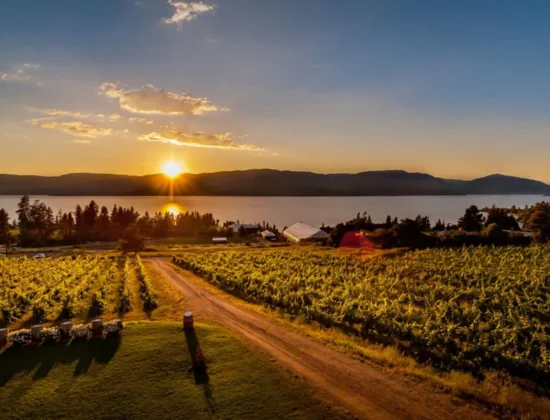 Summerhill Pyramid Winery