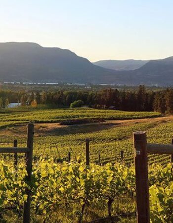 Tantalus Vineyards