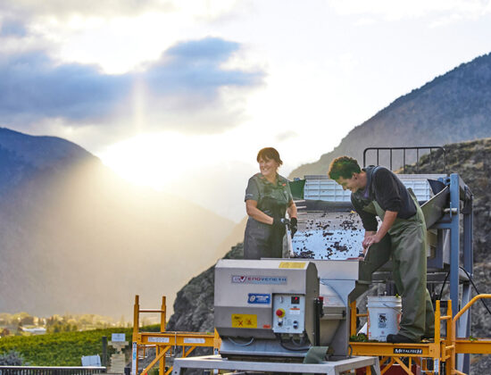 Corcelettes Estate Winery