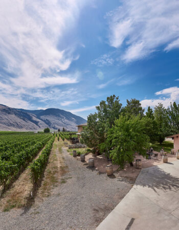 Orofino Vineyards