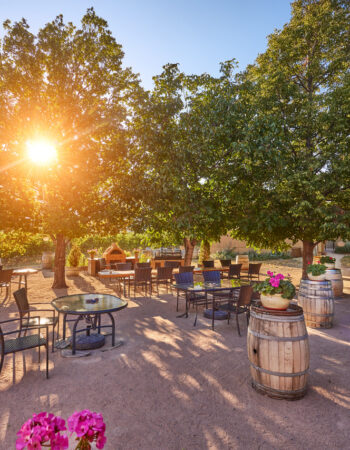 Orofino Vineyards