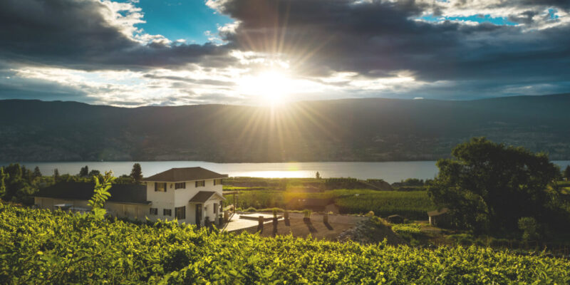 Lunessence Winery
