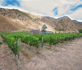 Clos Du Soleil